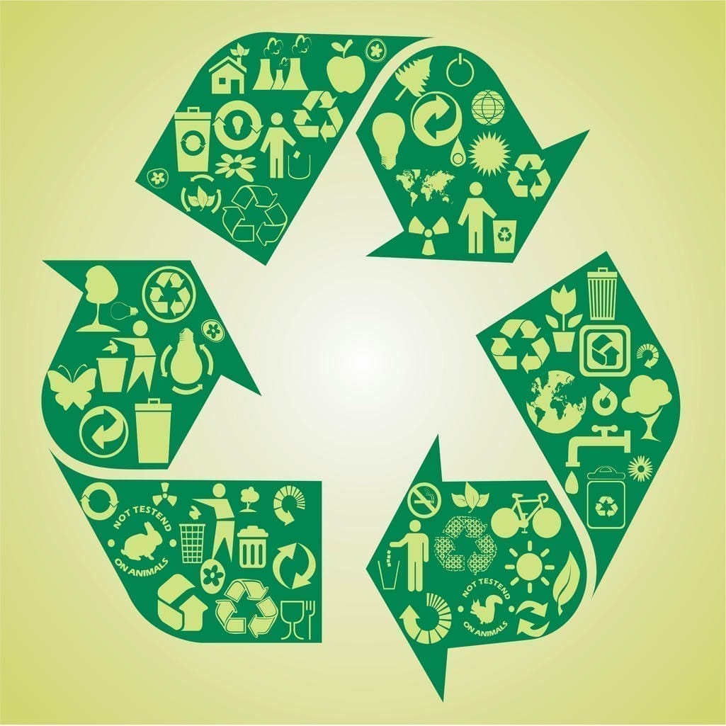Études d'Impact Environnemental et Social (EIES)
